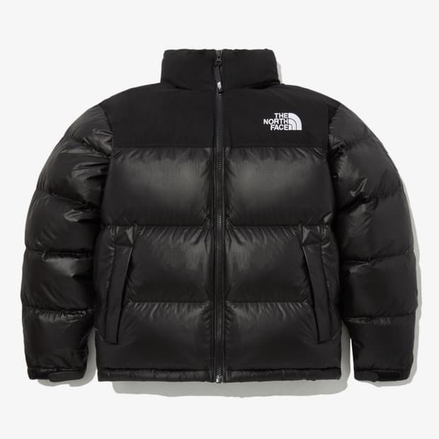 더 노스페이스 노벨티 눕시 RDS 다운 재킷 (M size)