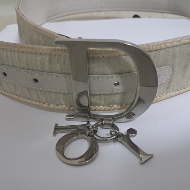 디올 벨트 정품