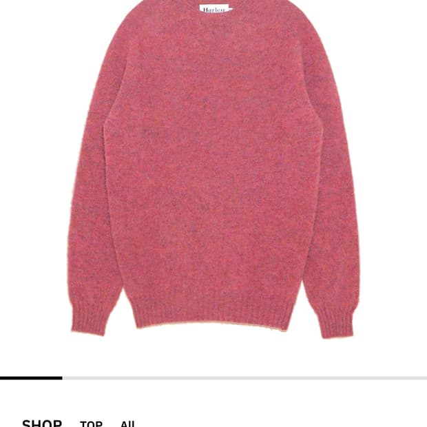 할리오브스코틀랜드 쉐기독 지니아 XL