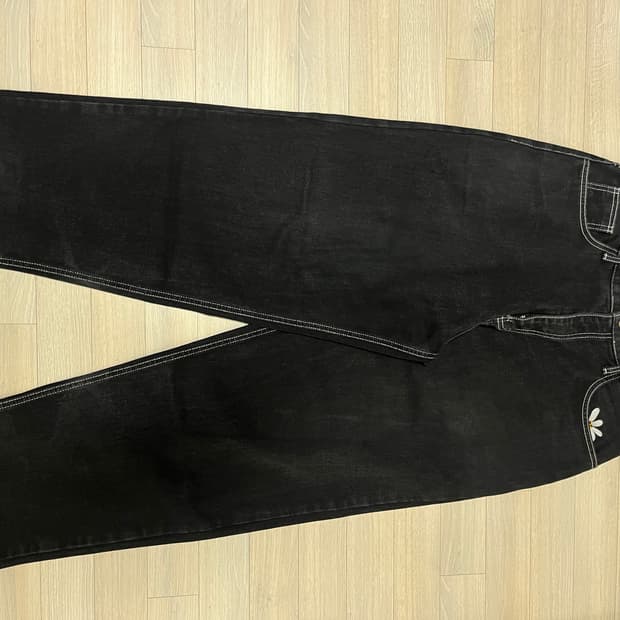 [L] 라브로스 데이지진