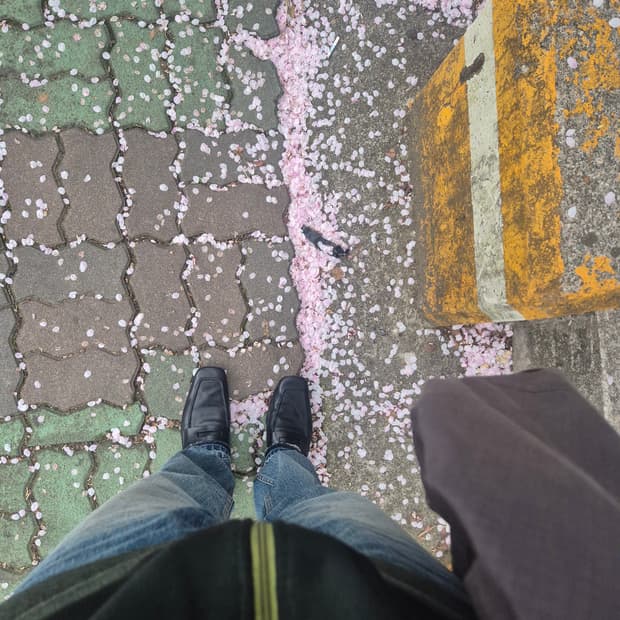 프라다 스퀘어토 로퍼 285