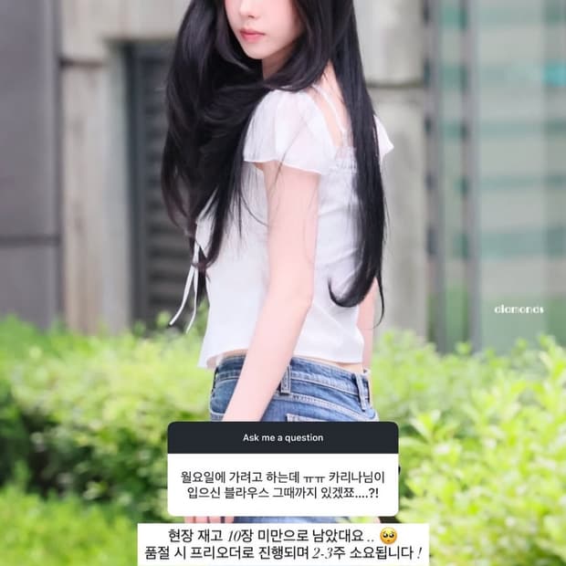 Angel lace blouse 카리나 블라우스 (새상품)