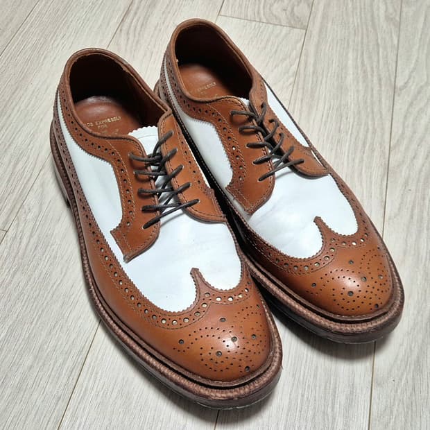 알든 ALDEN 97650 스펙테이터