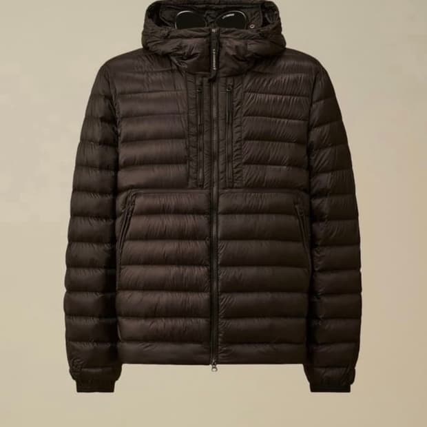 C.p company D.D. Shell goggle down jaket