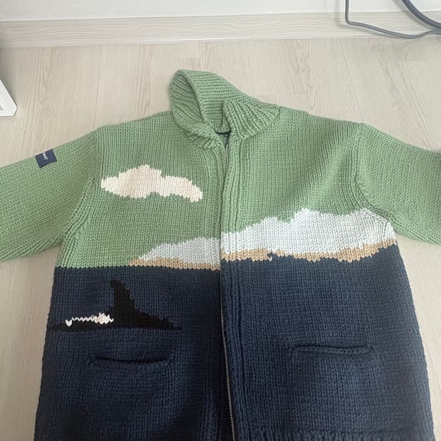 디센던트 코위찬