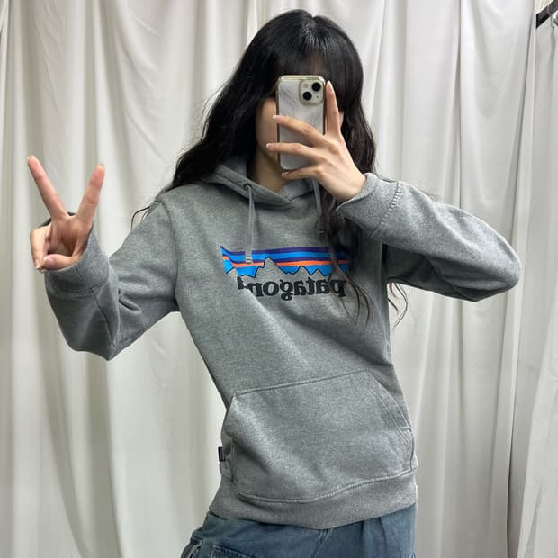 Patagoia gray hoody