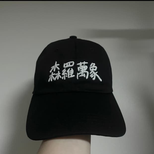 침착맨 삼라만상 볼캡