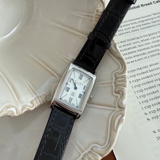 [Celine] Triomphe Steel watch