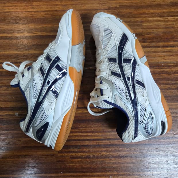 아식스 로테리브레 240