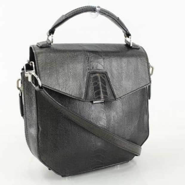 Alexander wang 드비어 사첼백