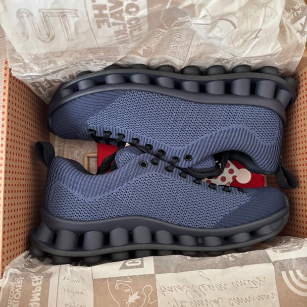 (42) 캠퍼 써네이 펠로티시마