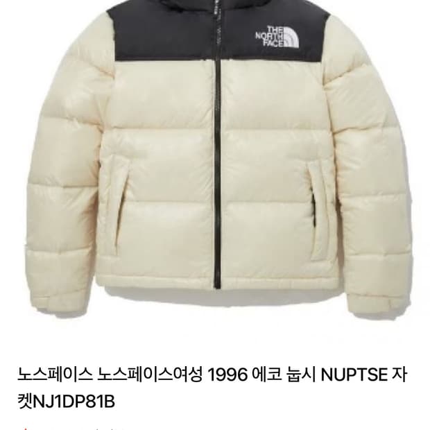 노스페이스여성 1996 에코 눕시 NUPTSE