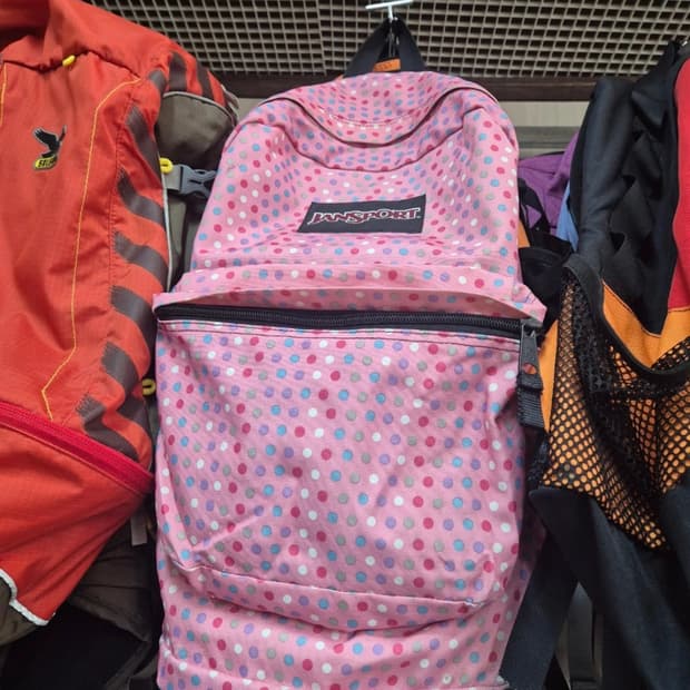 잔스포츠 도트 백팩