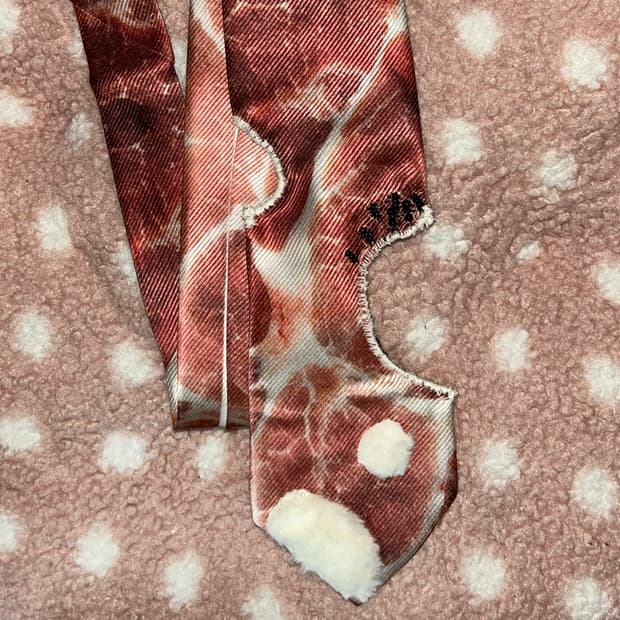 곰팡이 고기 넥타이