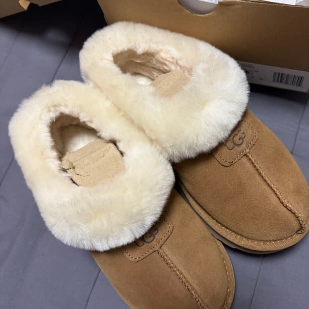 어그 W TAZZETTE 슬리퍼 US6 (230)