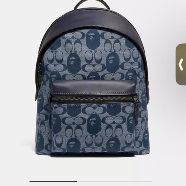 베이프 코치 콜라보 백팩 구합니다 ㅠ