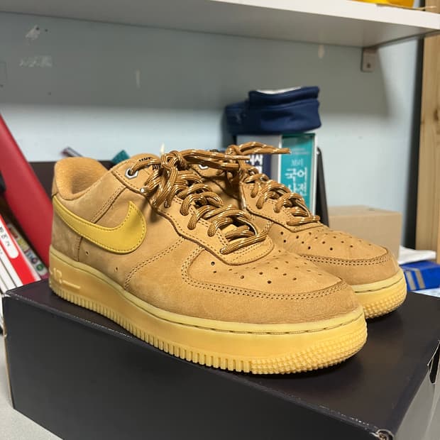 나이키 된장포스 260