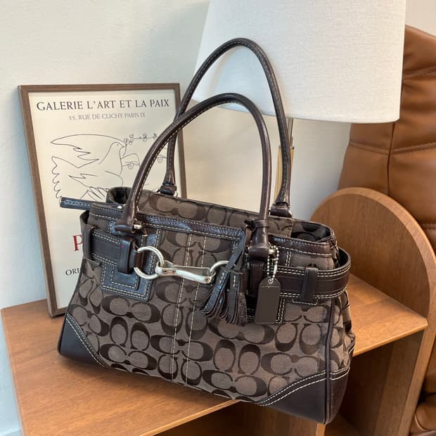 Coach Brown Square Bag