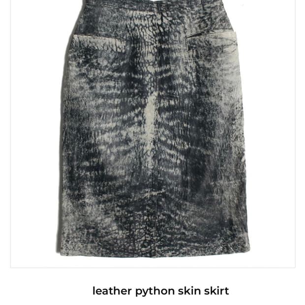 leather python skin skirt