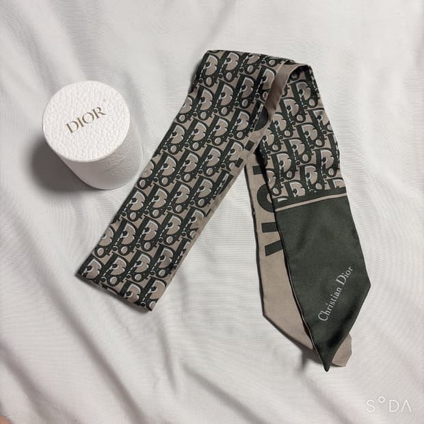 디올 미차 오블리크 스카프