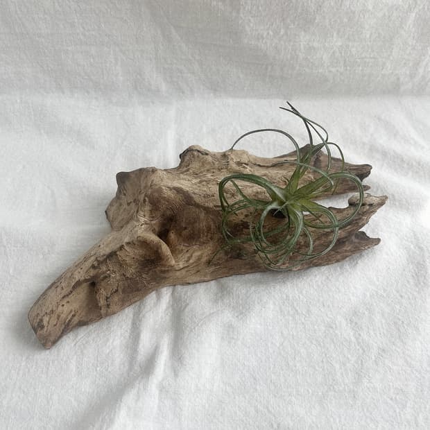 wood object 040