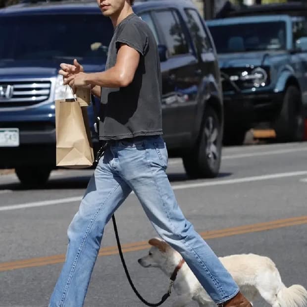 레드윙 953 오스틴버틀러 워크부츠 8 (260) 사이즈