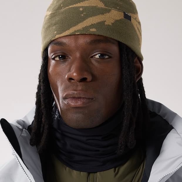 아크테릭스 비니