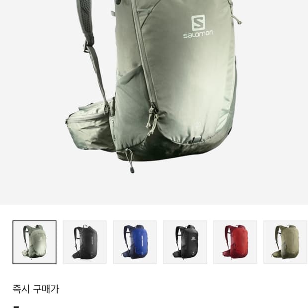 살로몬 트레일블레이저20 아이언 세도나 세이지