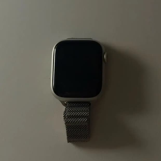 애플워치 se 실버 락 걸림