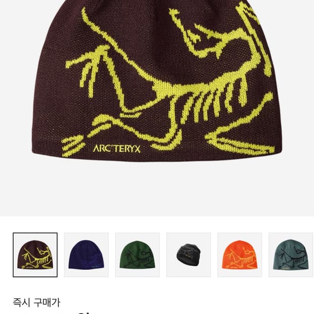 아크테릭스 Bird Head Toque Phantasm OS