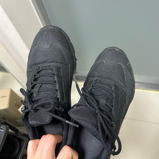 로아 카타리나 41