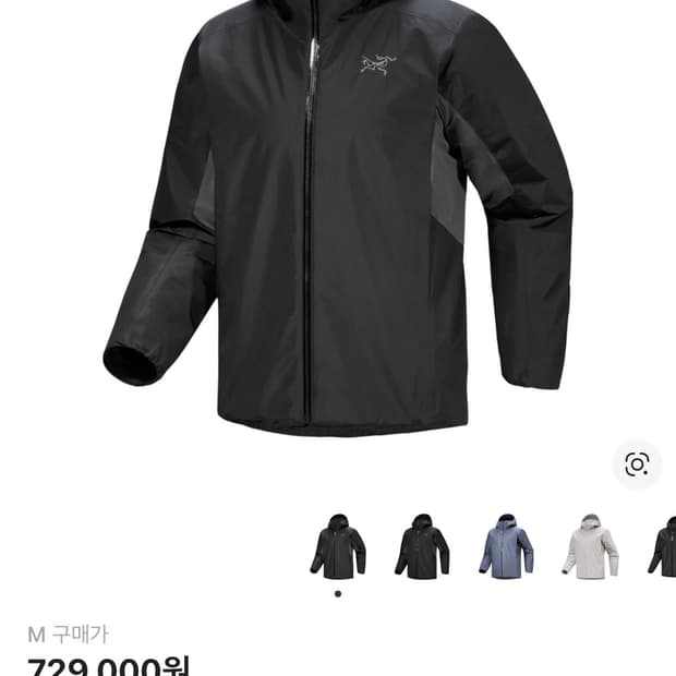 아크테릭스 솔라노 후디 블랙 