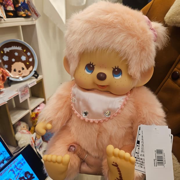 노작 디자이너 몬치치