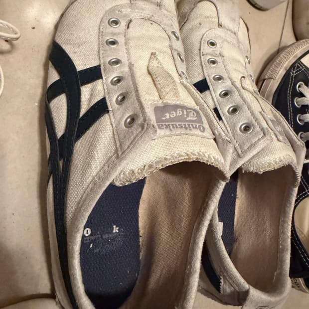 오니츠카 타이거