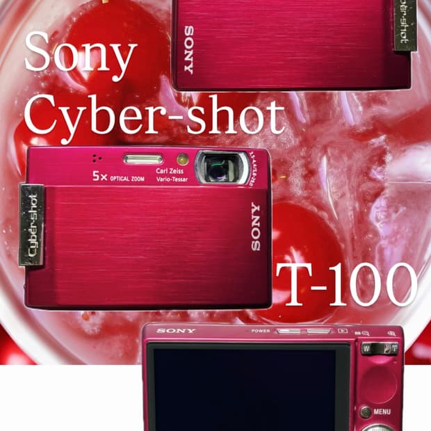 Sony Cyber-shot T-100 Photography