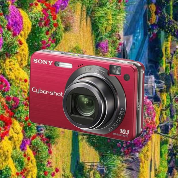 소니 사이버샷 DSC-W170