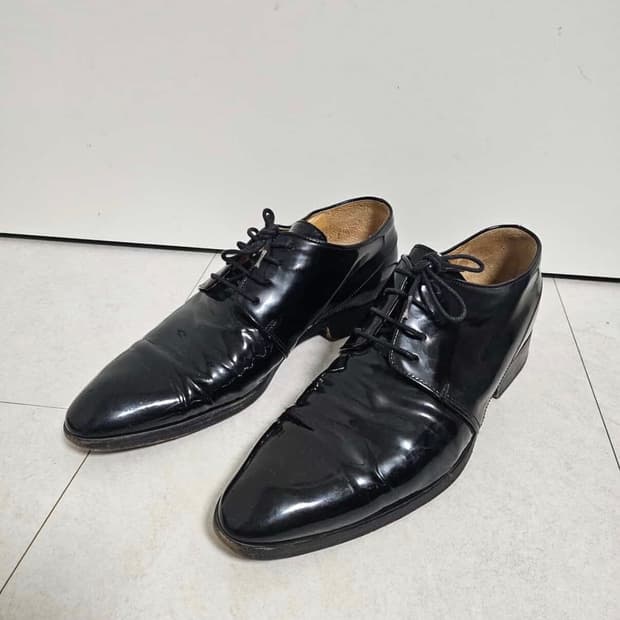 라프시몬스 더비 265