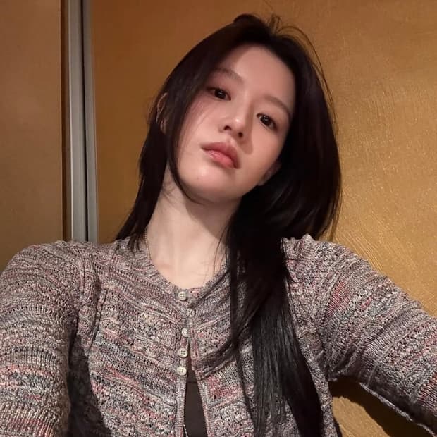 Perverze 고윤정 가디건