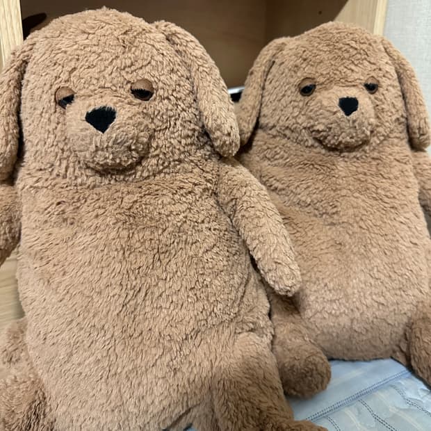 젤리캣 아모레 도그 2마리