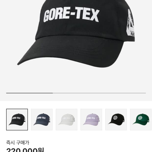 Palace 고어텍스 볼캡