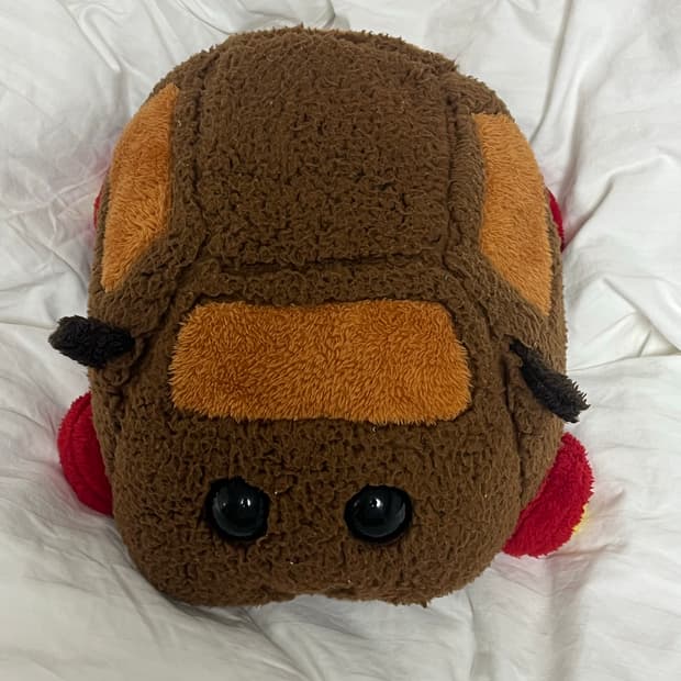 모루카 테디 인형 (반택포)