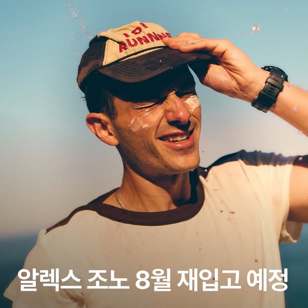 알렉스조노 정가 판매