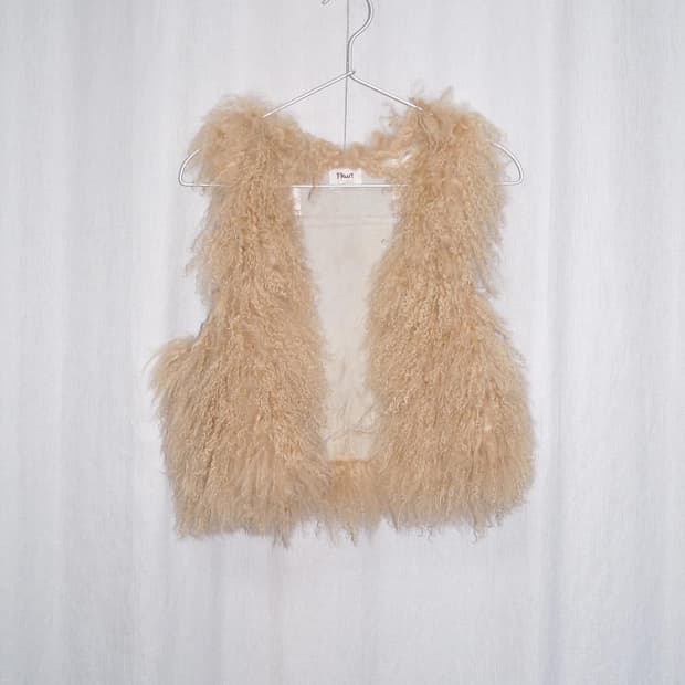 Fruit cake fur vest