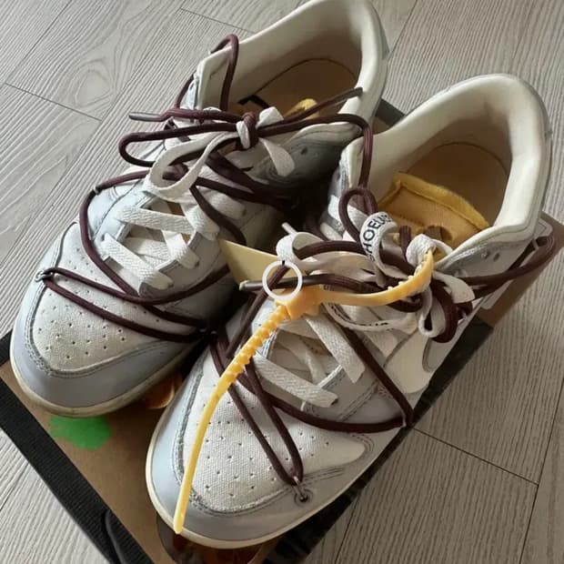 [265] Nike x Off-White Dunk Low 46