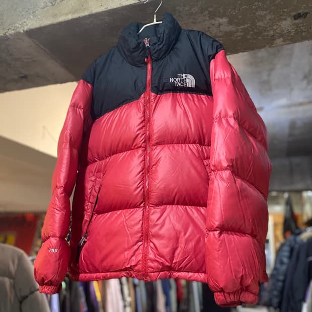 THE NORTH FACE 눕시 700 (100