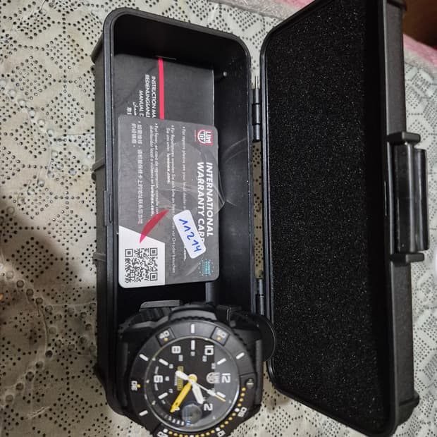 Luminox lx200