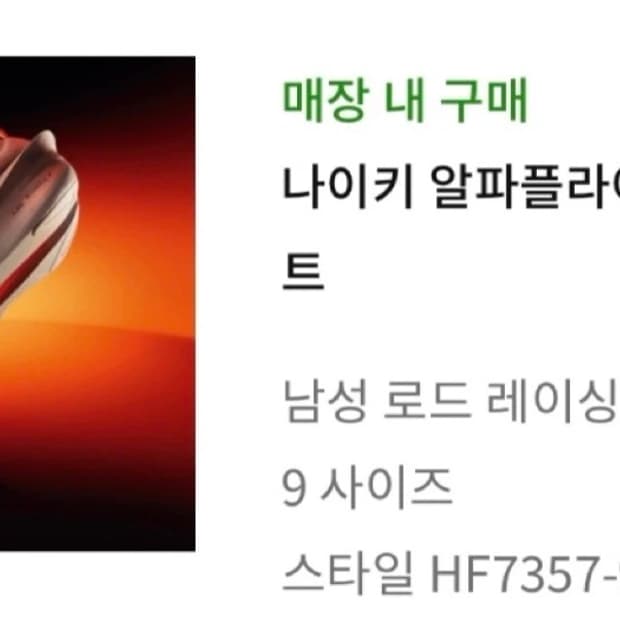 나이키 알파플라이 3 블루 프린트