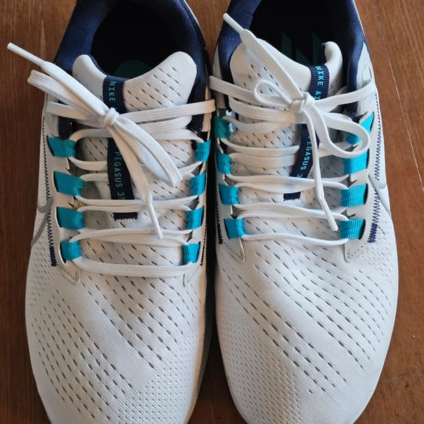 나이키 에어줌 페가수스 38 흰파 265