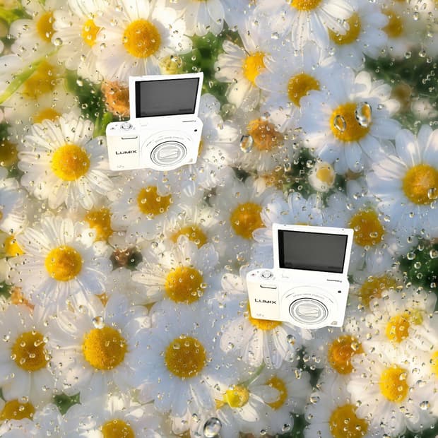 하이엔드!!셀카!!)Panasonic Lumix DMC-SZ10