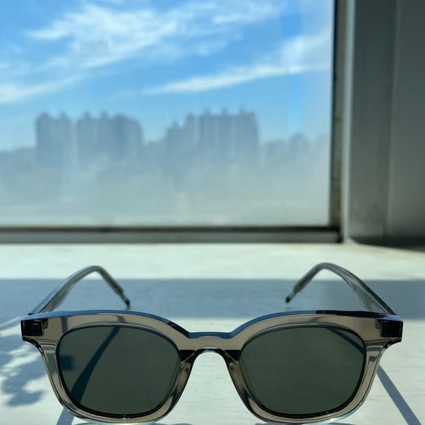 젠틀몬스터 달레이크